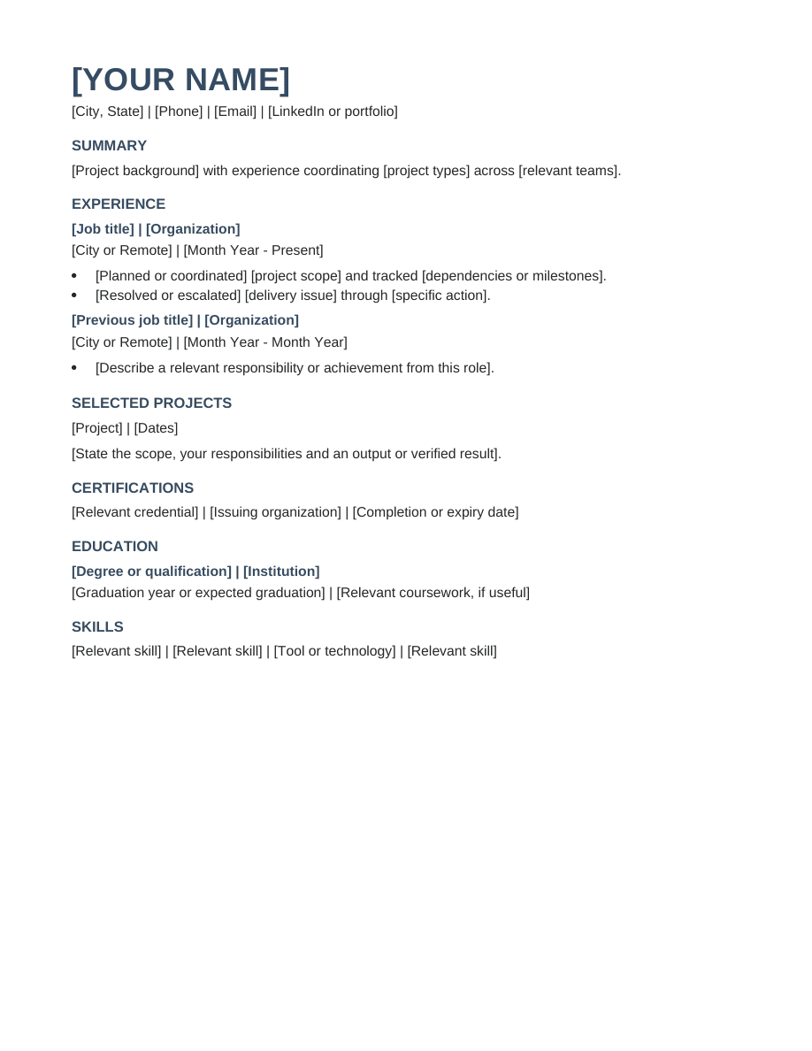 Project Manager resume template preview
